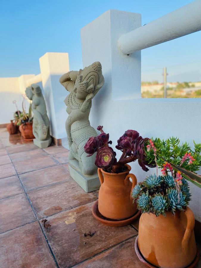 Palm View Guesthouse, Adults Only Luz 外观 照片