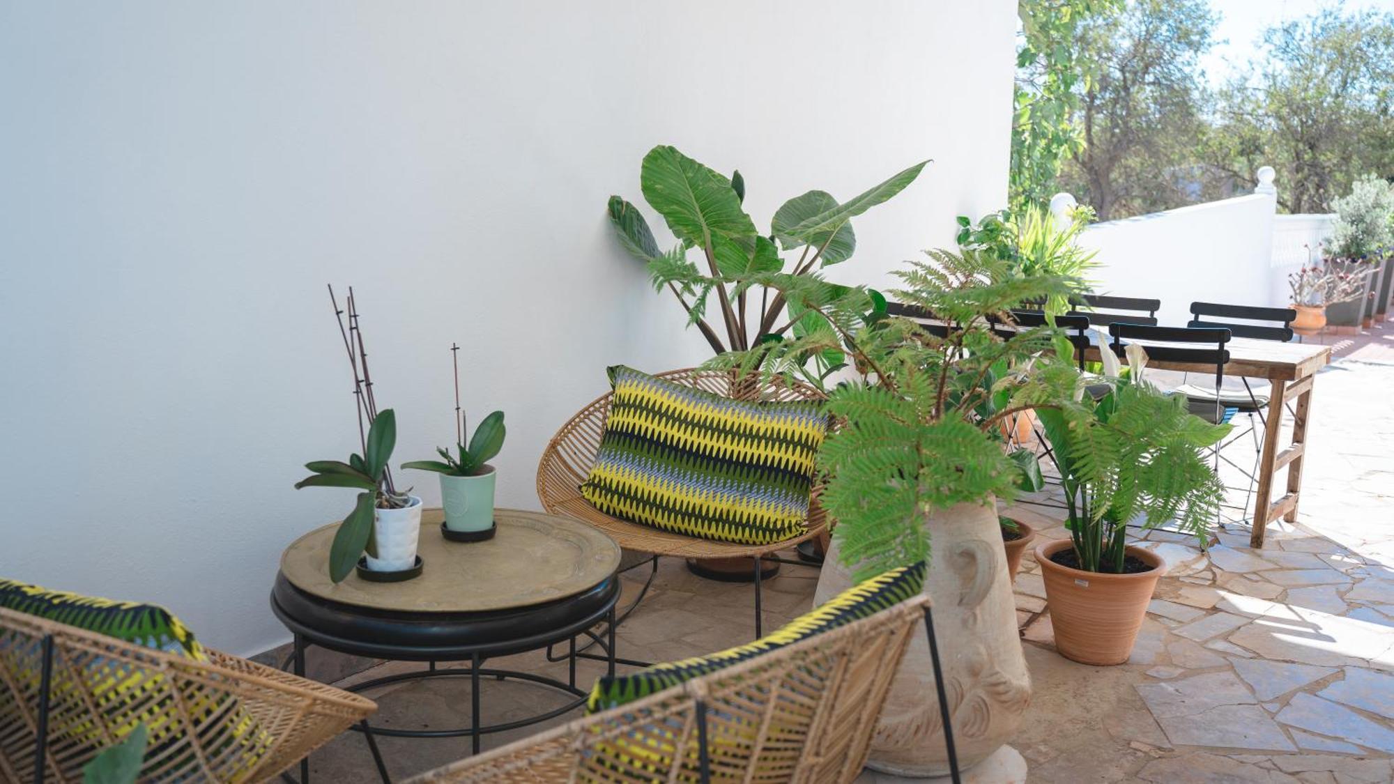 Palm View Guesthouse, Adults Only Luz 外观 照片