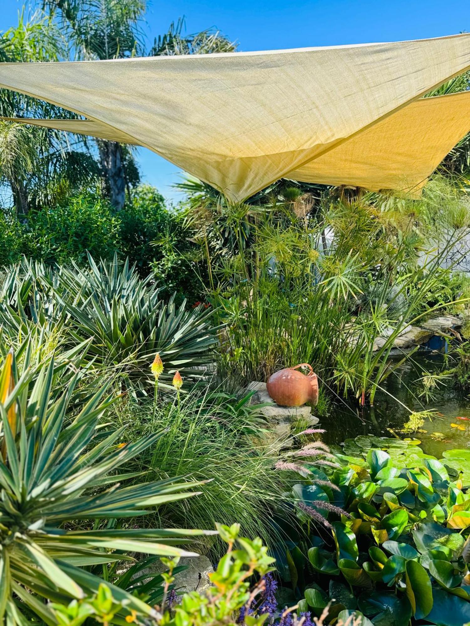 Palm View Guesthouse, Adults Only Luz 外观 照片