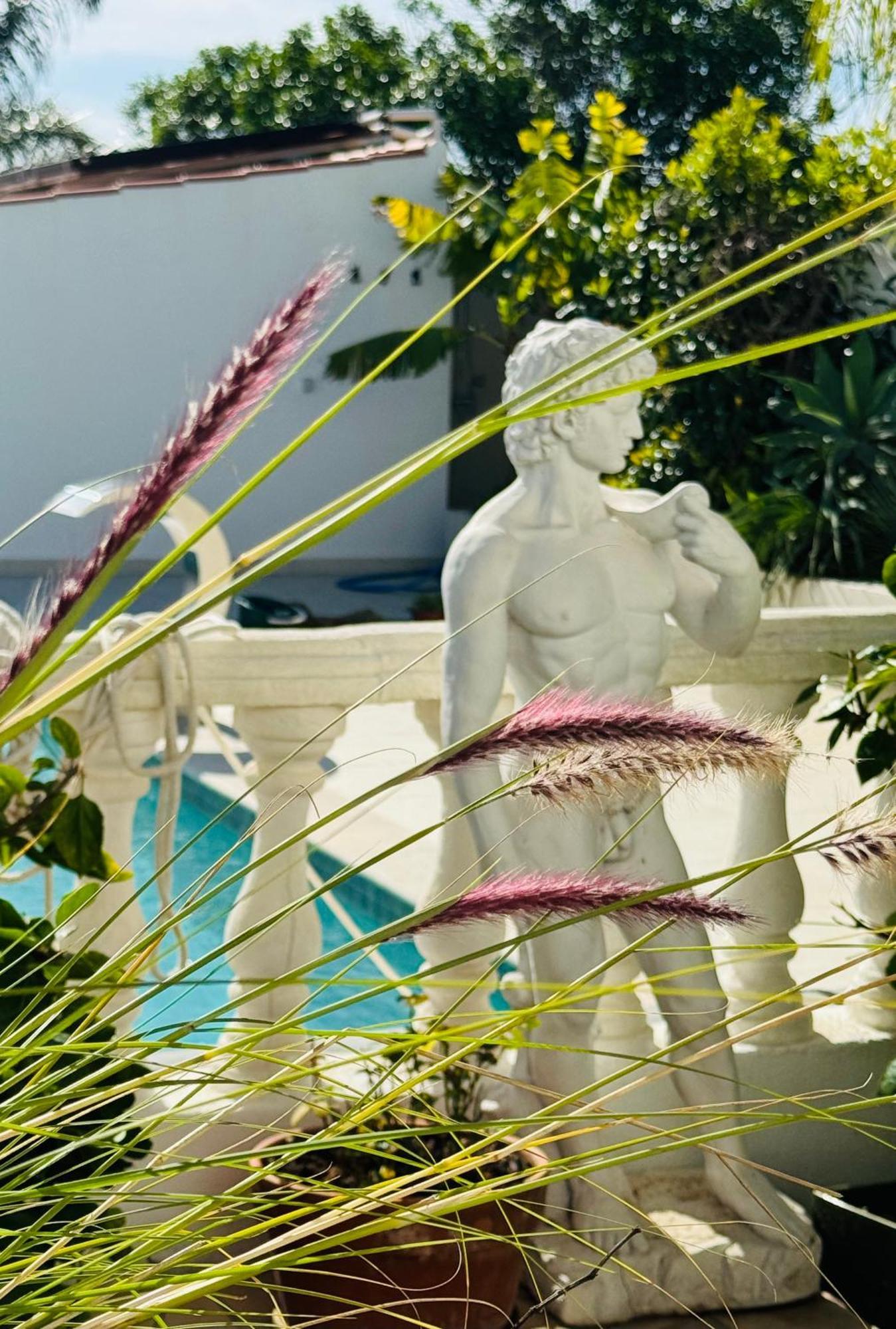 Palm View Guesthouse, Adults Only Luz 外观 照片